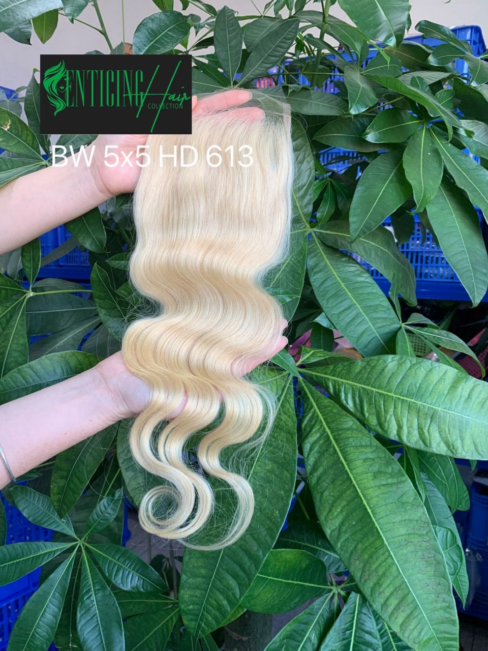 Russian Blonde HD Lace Closures