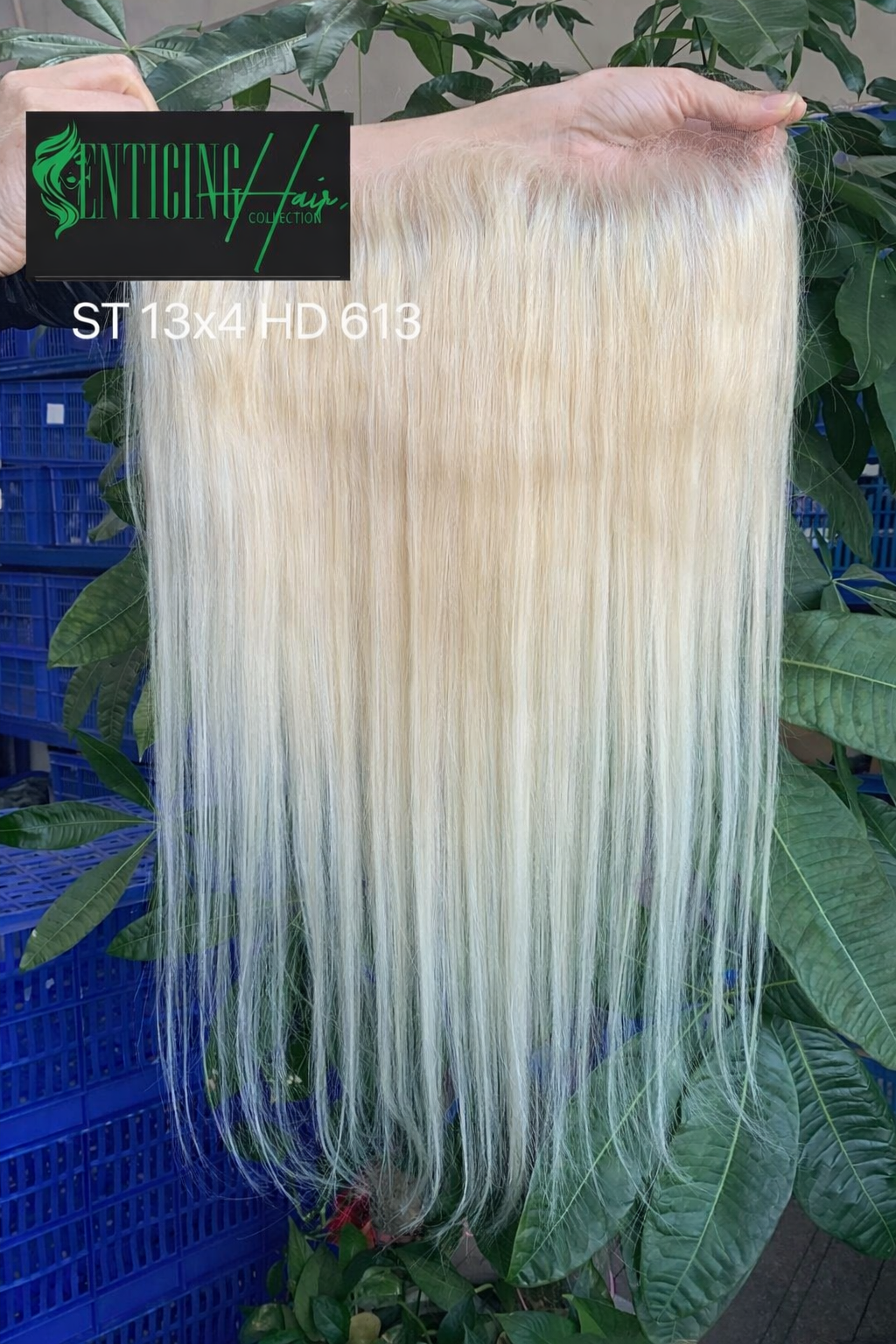 Russian Blonde HD Lace Frontal