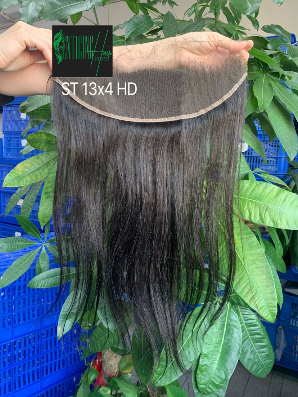 HD Frontal – 100% Raw Hair
