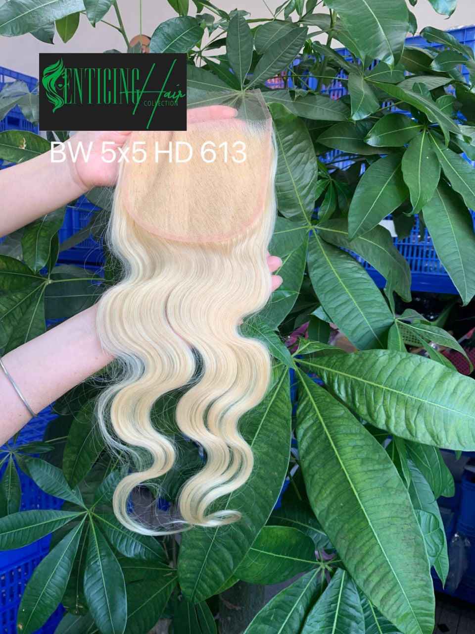 Russian Blonde HD Lace Closures