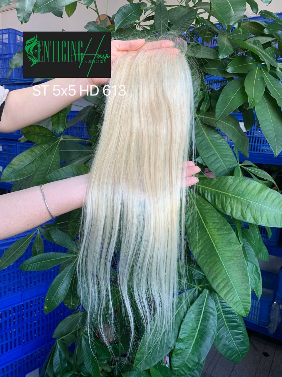 Russian Blonde HD Lace Closures