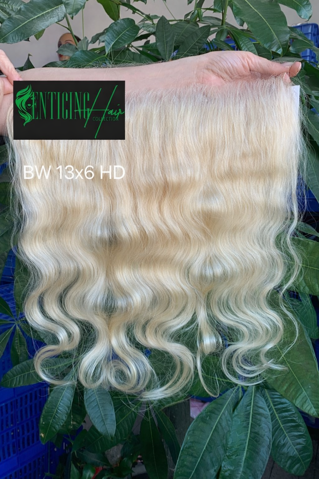 Russian Blonde HD Lace Frontal