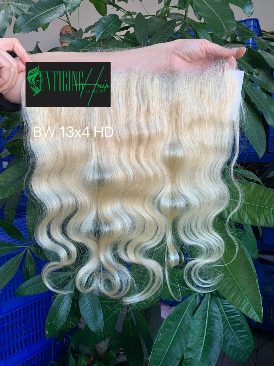 Russian Blonde HD Lace Frontal